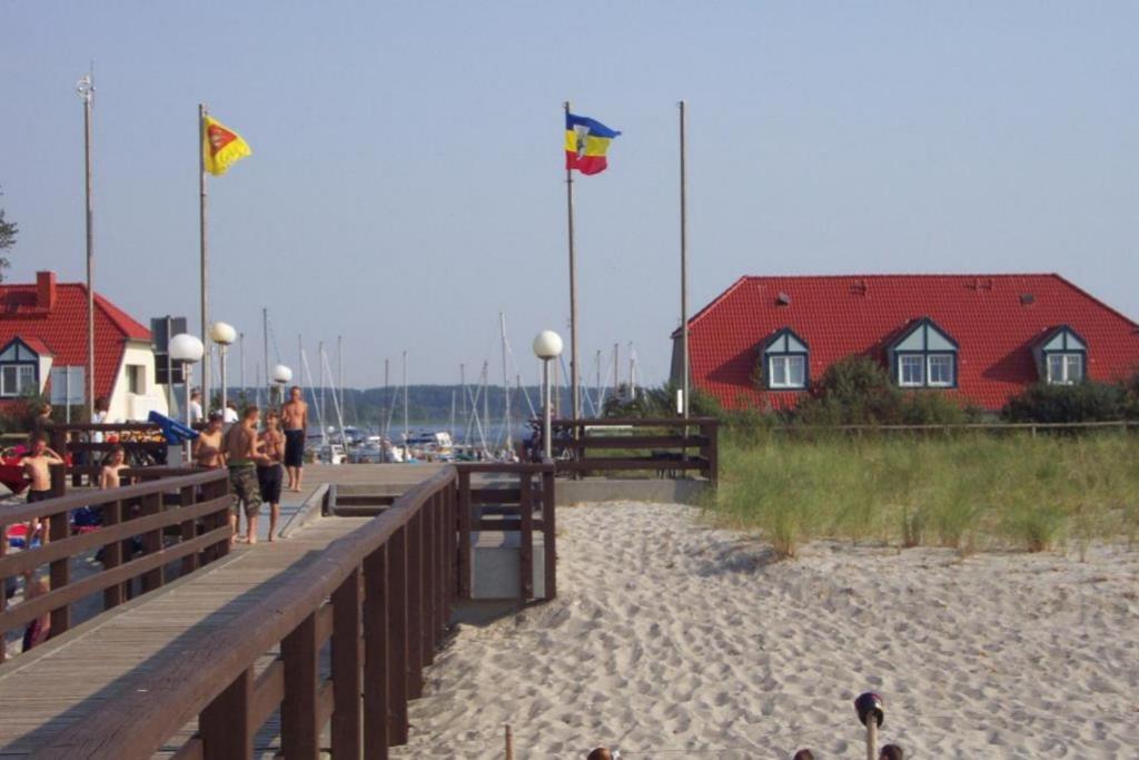 08 Seemoewe Mit Blick Auf Salzhaff Und Ostsee Rerik