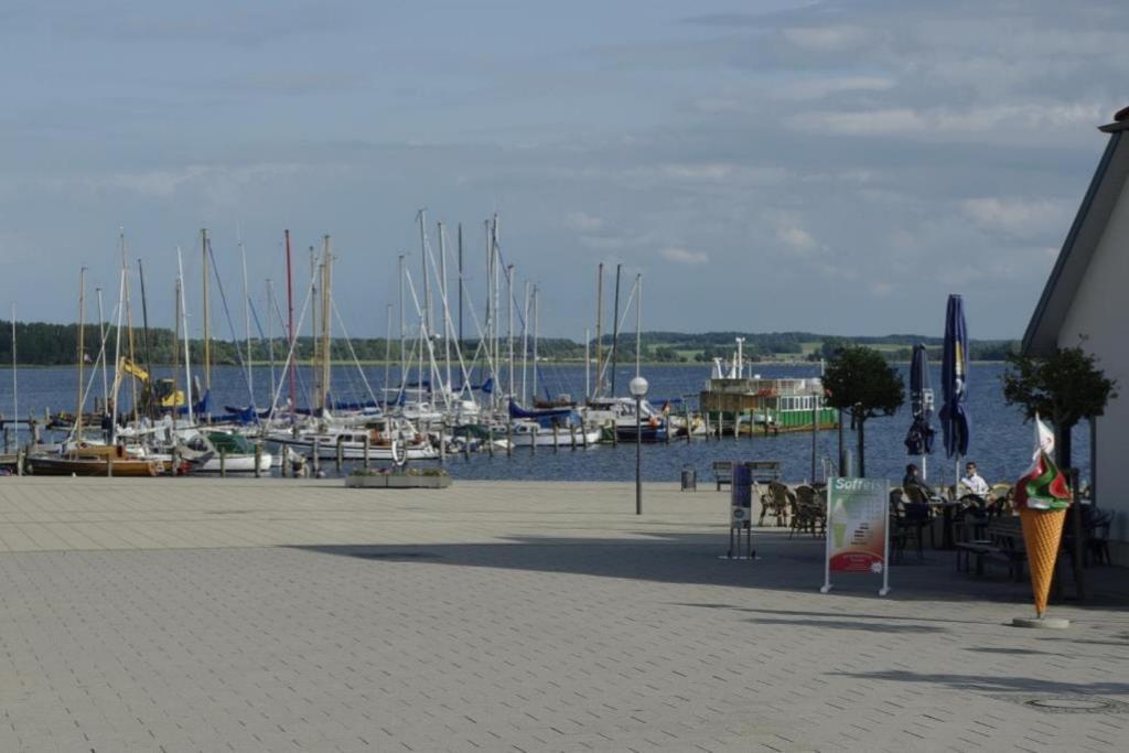 08 Seemoewe Mit Blick Auf Salzhaff Und Ostsee *