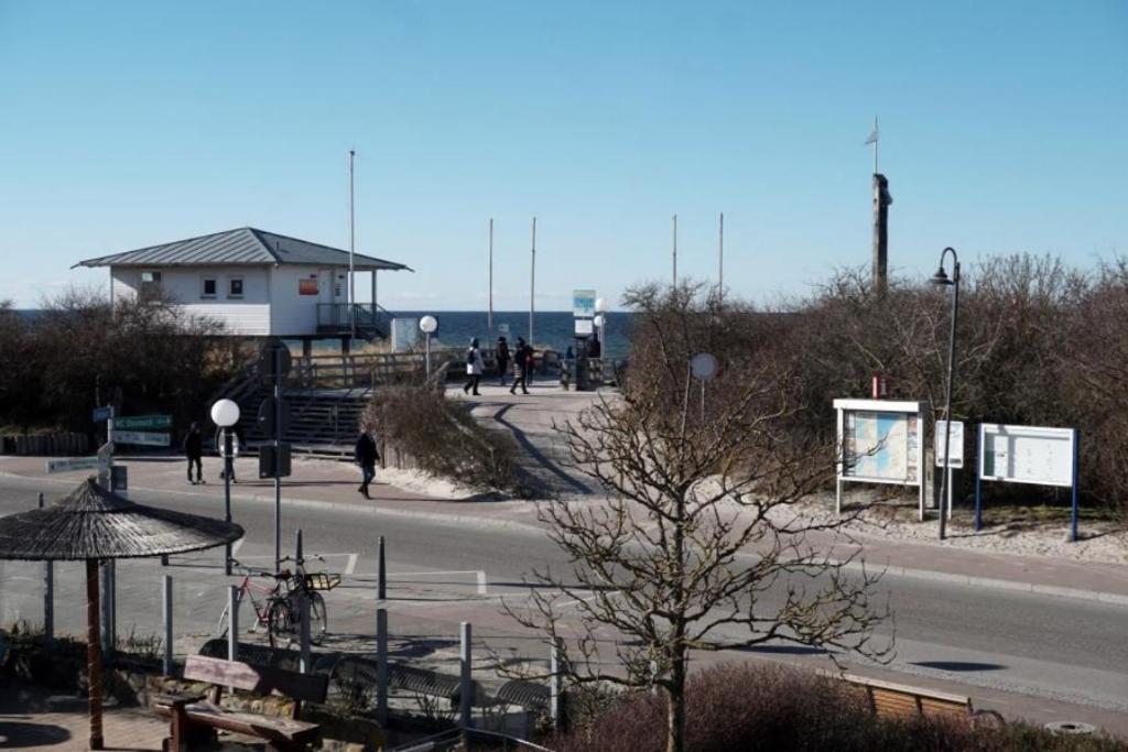 08 Seemoewe Mit Blick Auf Salzhaff Und Ostsee Rerik